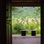 Nature Based Stays in Kerala for Slow, Meaningful Travel