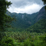 Seethavanam – A Hidden Gem Among Hotels Around Nelliyampathy Foothills