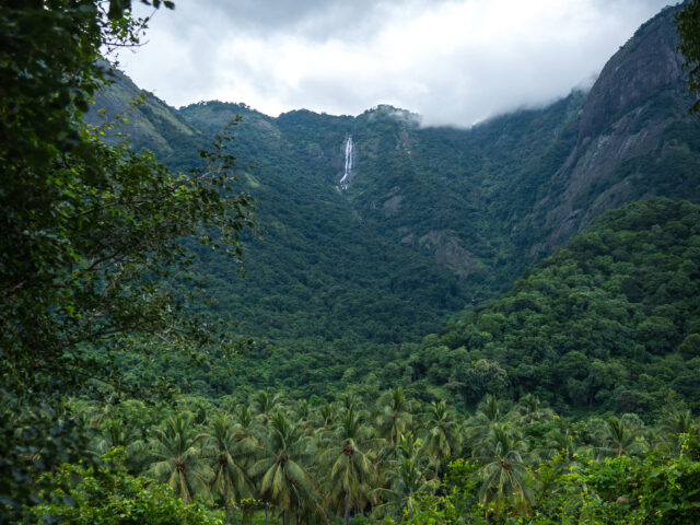 Seethavanam – A Hidden Gem Among Hotels Around Nelliyampathy Foothills