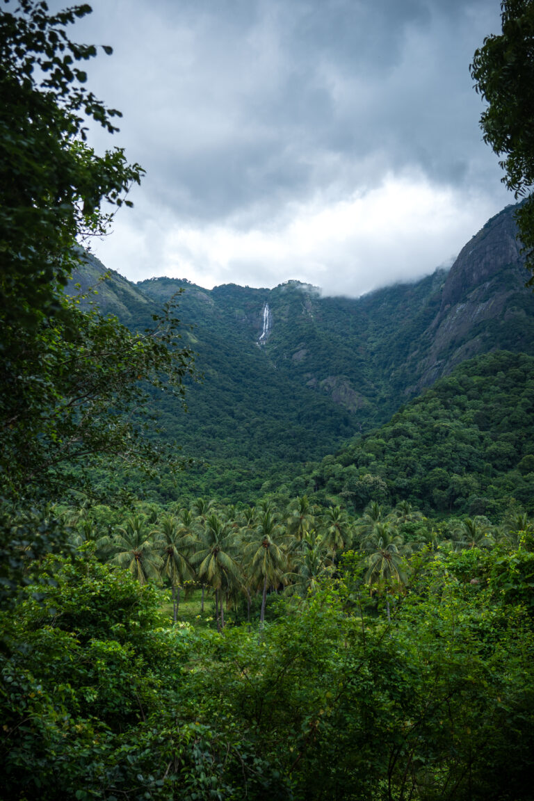 View from Seethavanam farm stay among hotels around Nelliyampathy foothills