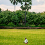 Things to do in Kollengode