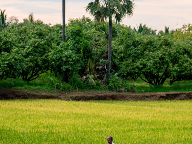 Things to do in Kollengode