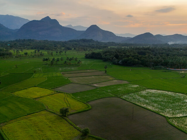 Best Time to Visit Nelliyampathy Foothills for a Quiet Escape