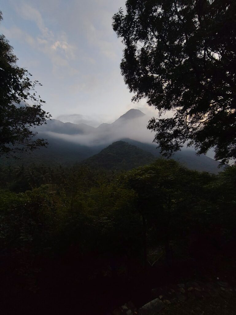 Misty morning at the Nelliyampathy Foothills