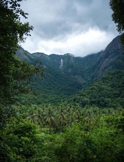 View from Seethavanam farm stay among hotels around Nelliyampathy foothills