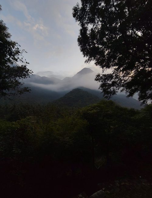 Misty morning at the Nelliyampathy Foothills